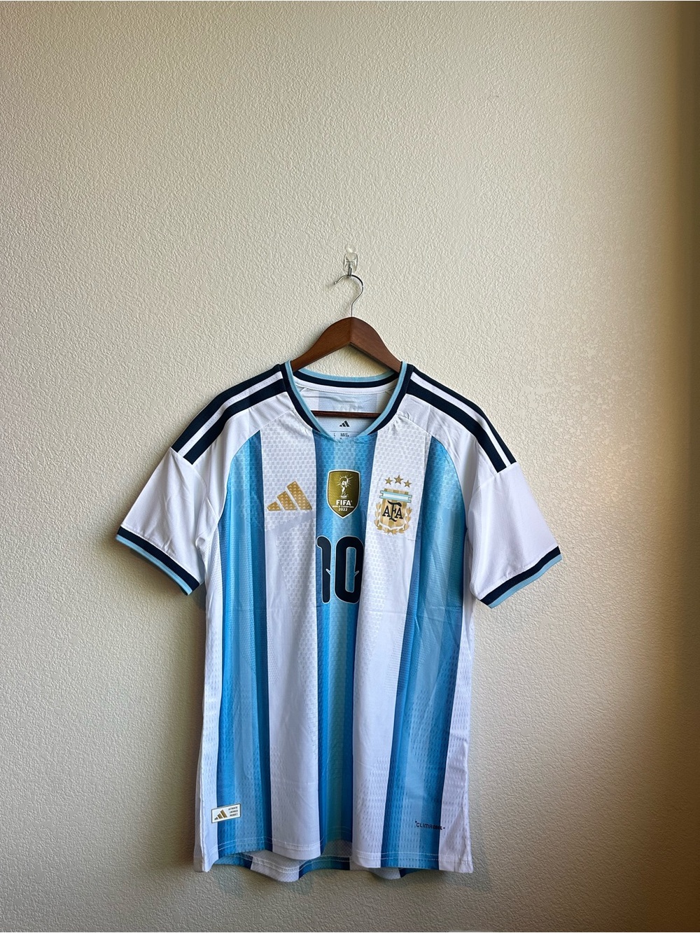 Argentina 2026 World Cup Home Jersey - Messi #10